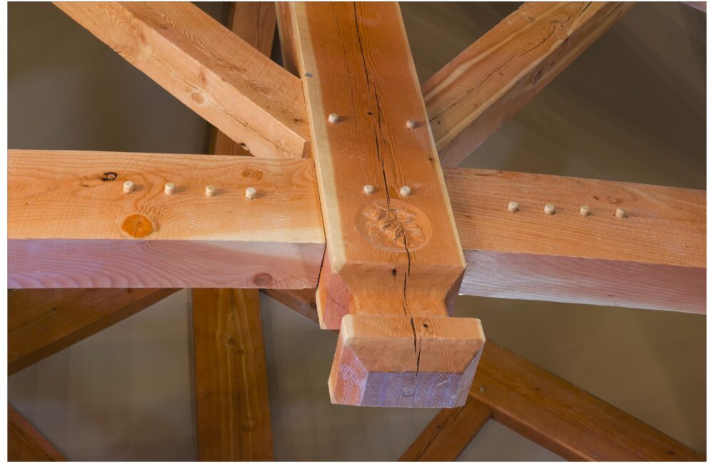 Common Defects to Consider in Timber Grading Marks Lumber